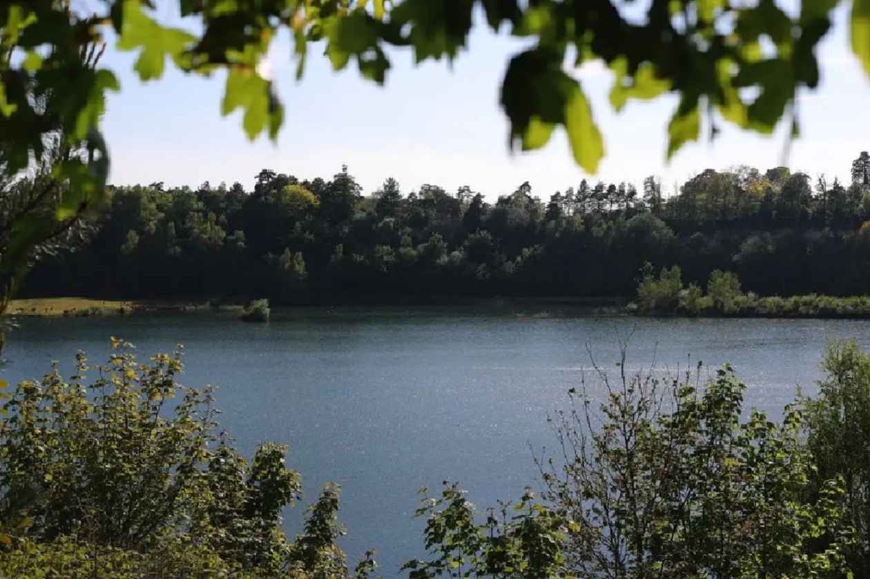 Buckland Park Lake: Exploring the Beauty of Nature 