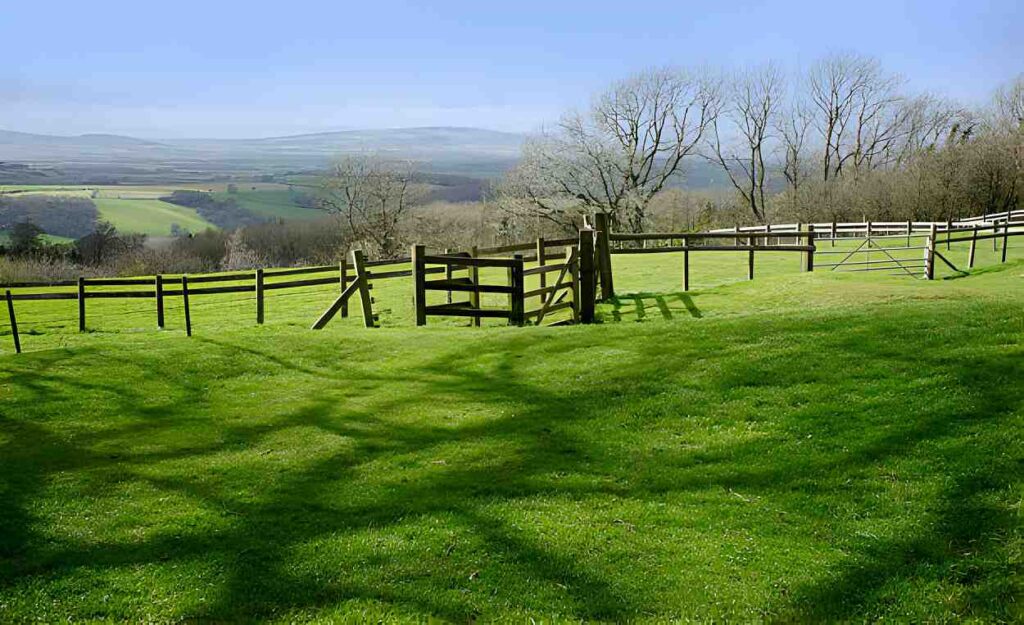 Explore Matlock Farm Park Your Ultimate Guide to the Peak District Experience