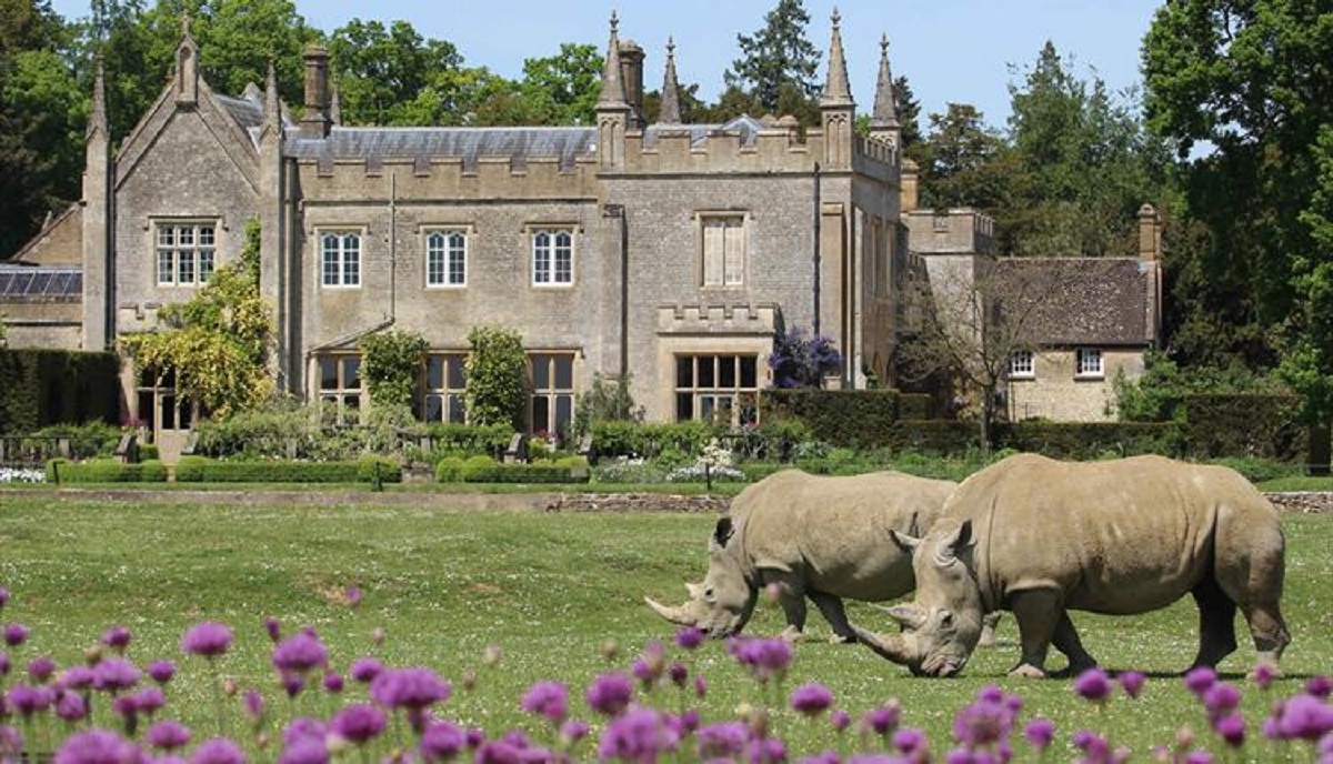 Discover the charm of Cotswold Wildlife Park